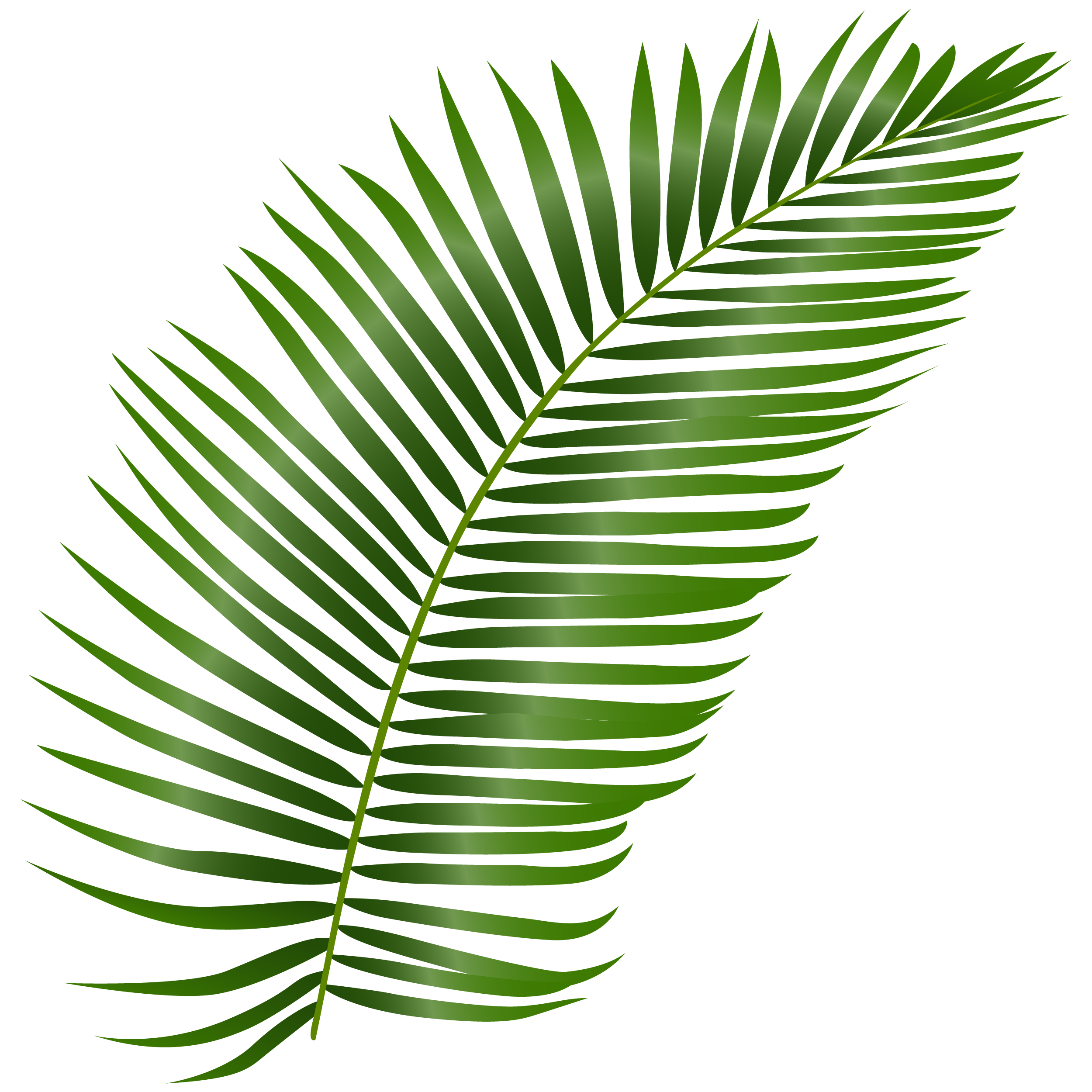 leaf_image